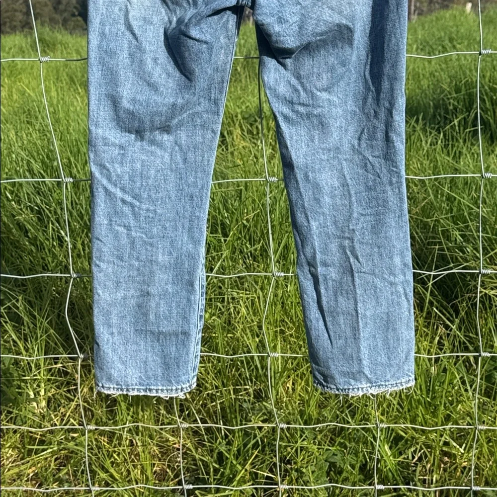 Pistola light wash distressed denim button fly Jeans 26 grunge Y2K
